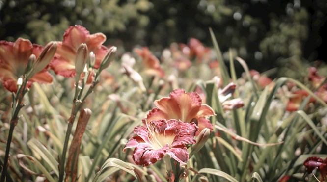 EMOVERE - NAAR BUITEN BEWEGEN