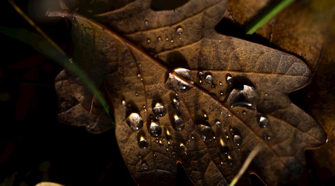 AANPASSEN EN INPASSEN